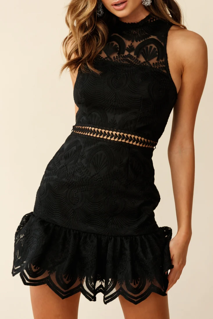 Hiromi Sleeveless Embroidered Mesh Overlay Dress Black - Image 4