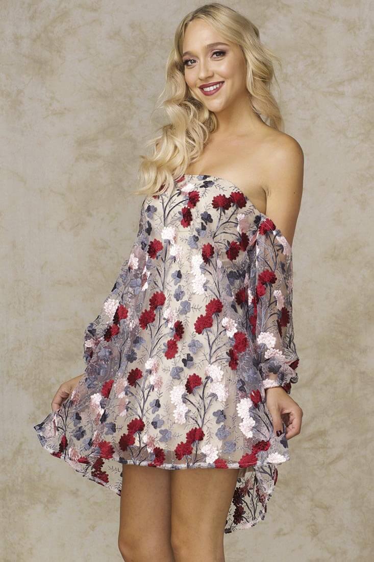Jessica Strapless Sheer Embroidered Dress Multi - Image 5