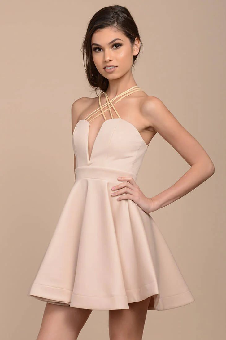 Karrin Fit and Flare Dress Nude - Image 2